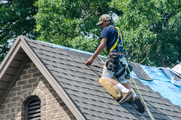 Roof Gutter Cleaning in Fairfax, VA